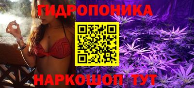 дмт Бузулук