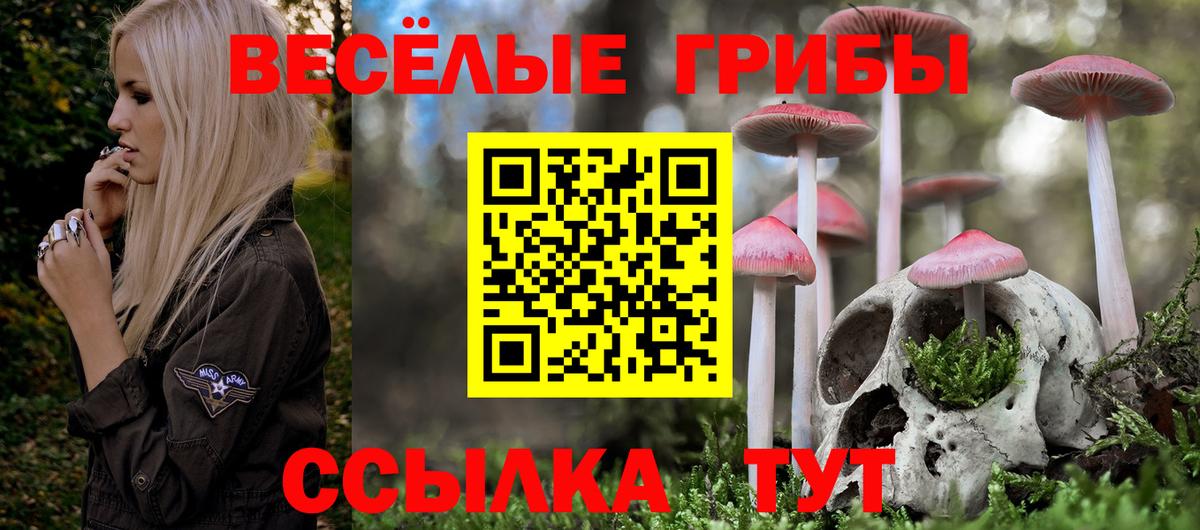 Первоуральск  Псилоцибиновые грибы мицелий  Вход с VPN 