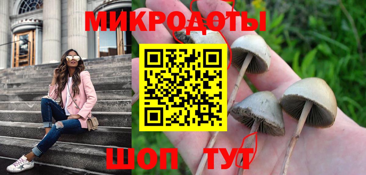Галлюциногенные грибы Magic Shrooms Первоуральск